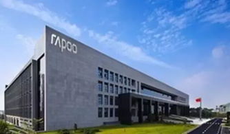 雷柏科技增長率背后的真相 技術咨詢與轉讓的雙輪驅動